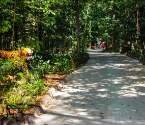 Fechado há 20 anos – Prefeitura reabre o Bioparque da Amazônia dia 25