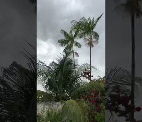 Lá vem a chuva – Muita ventania e trovões agora em Macapá