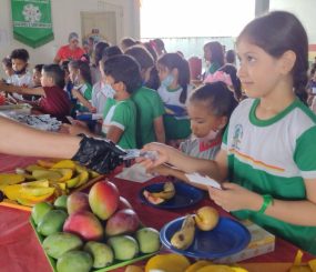 Escola promove feira de frutas para incentivar crianças a trocar as guloseimas por alimentação saudável