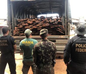 PF prende duas pessoas por comércio ilegal de madeira
