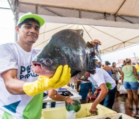 Semana Santa – Programa Peixe Popular oferta 70 toneladas de pescado a partir de amanhã em Macapá e Santana