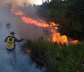 Corpo de Bombeiros registra mais de 40 ocorrências de incêndios florestais em duas semanas da Operação Amapá Verde
